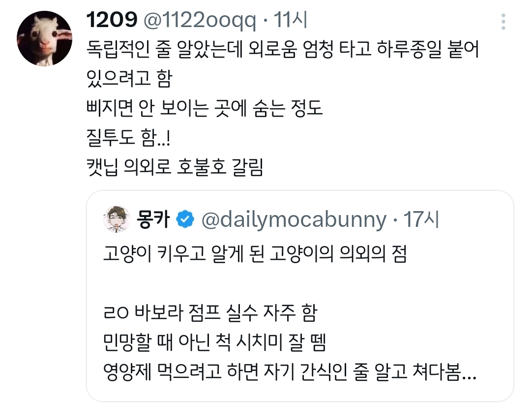 고양이-키우고-알게-된-고양이의-의외의-점.twt-4-이미지