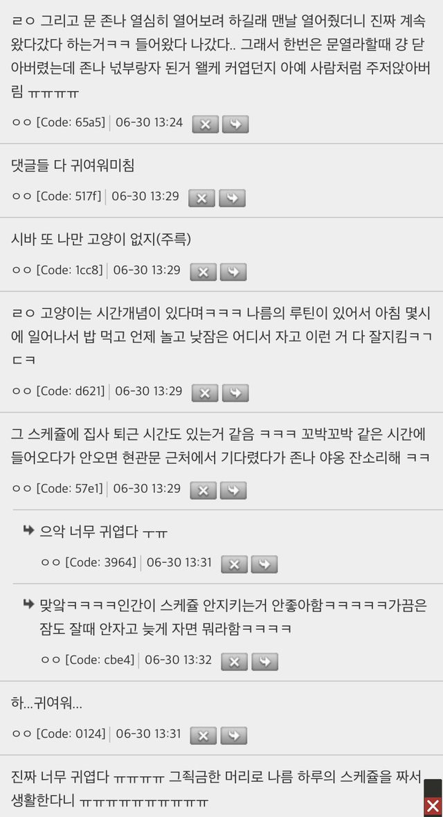 고양이들-자기만의-스케쥴-있는거-귀여움.jpg-3-이미지