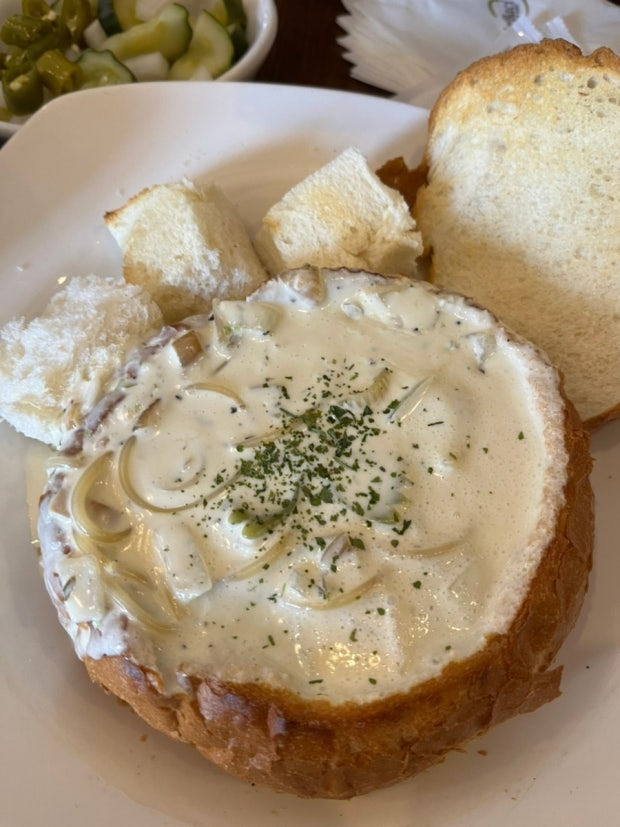 빠네는-왜-토마토는-잘-없는-걸까-0-이미지