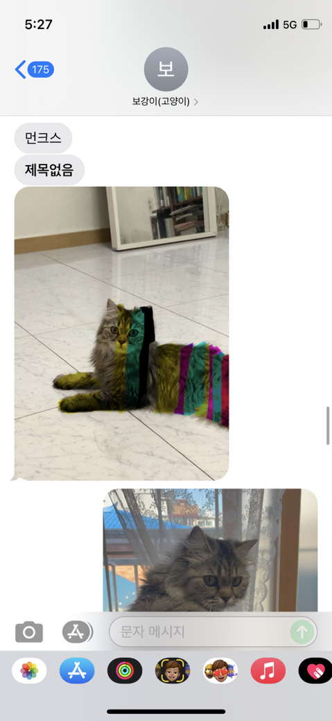 우리-집-고양이-보러-오는-동네-초딩-있거든-7-이미지