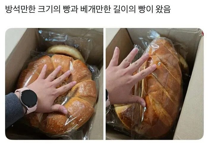 광주-고려인-마을에서-파는-빵-크기-1-이미지