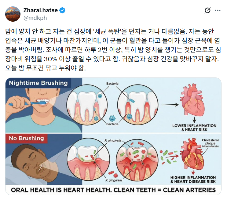 밤에-양치-안-하고-자는-건-심장에-'세균-폭탄'을-던지는-거나-다름없음-0-이미지