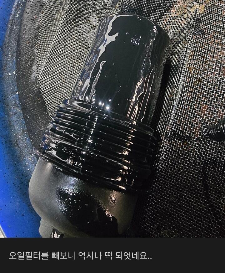 6만키로에-퍼진-현대-팰리세이드-ㄷㄷ.jpg-2-이미지