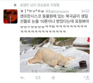 생일선물-받은-북극곰.jpg-1-이미지