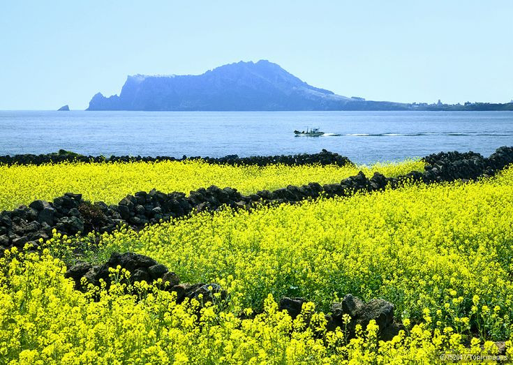 제주도랑-동남아-애초에-비교가-안된다고-생각하는-달글-15-이미지