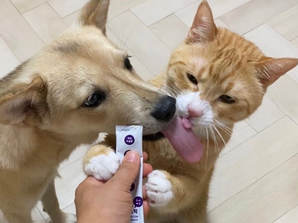 직무-스트레스가-최상에-속한다는-직업-0-이미지