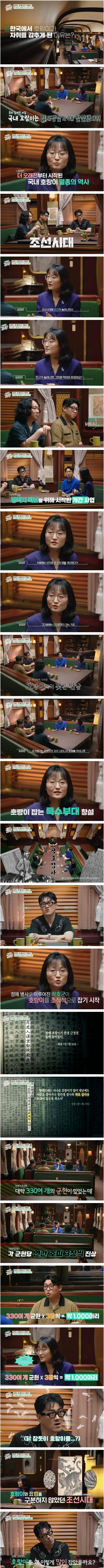 한반도에서-호랑이들이-멸종한-이유-0-이미지