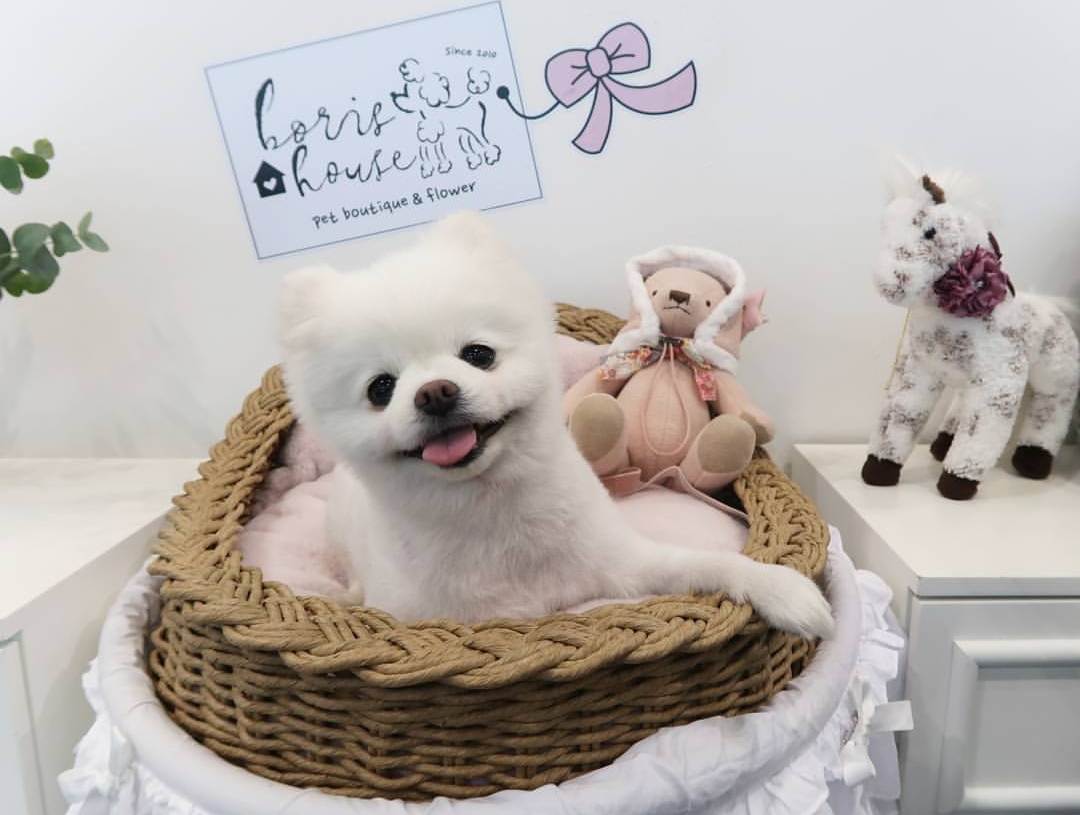 고속도로를-외워버린-13살-인간-내비게이션ㄷㄷ-2-이미지