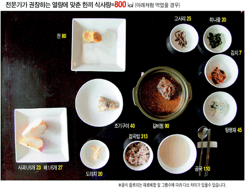 전문가가-권장하는-명절-한끼-식사량-0-이미지