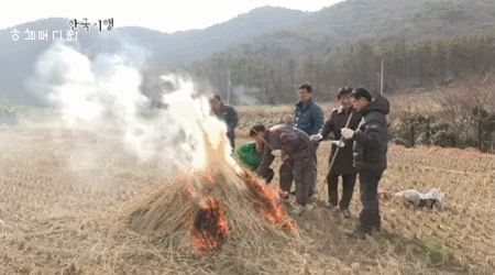 부산-사람만-아는-꼼장어-진짜배기-먹방.gif-0-이미지