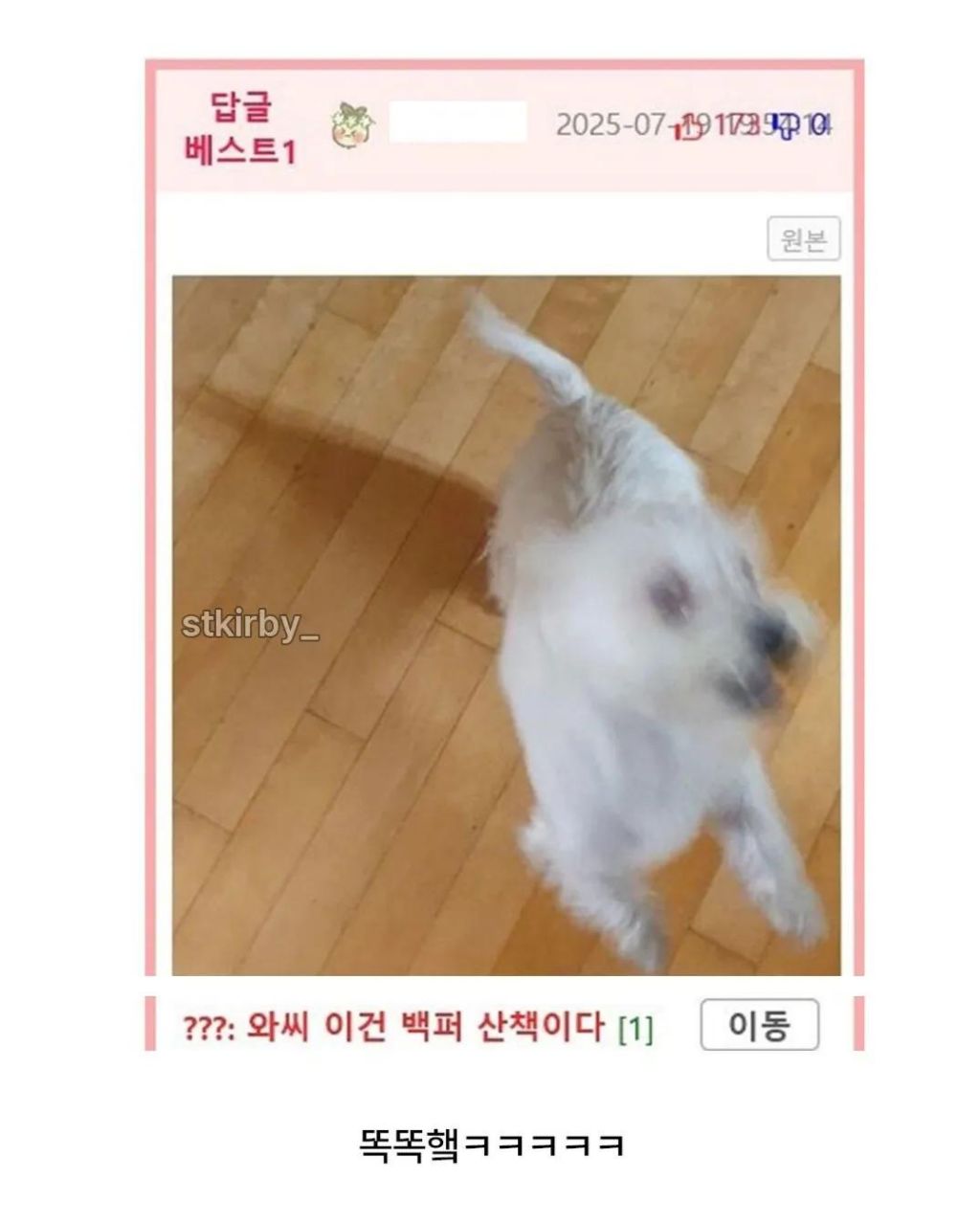 저희집-강아지는-옷을-그지같이-입으면.jpg-1-이미지