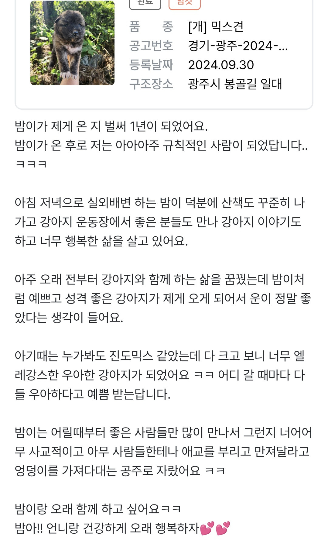 포인핸드에서-입양할땐-모카빵같이-생겼었는데-엄청-우아하게-큰-아기강아지-8-이미지