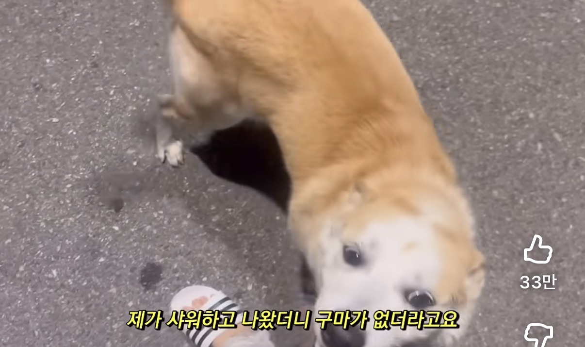 집나간-내새끼-0-이미지