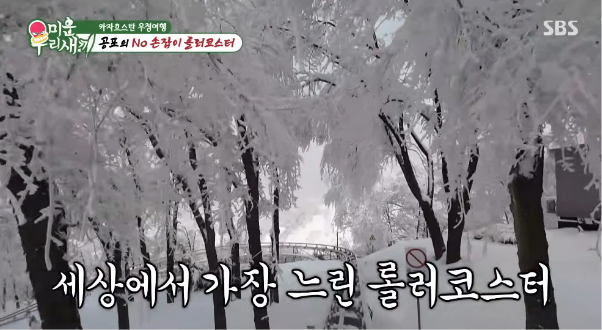 세상에서-가장-느린-롤러코스터-3-이미지