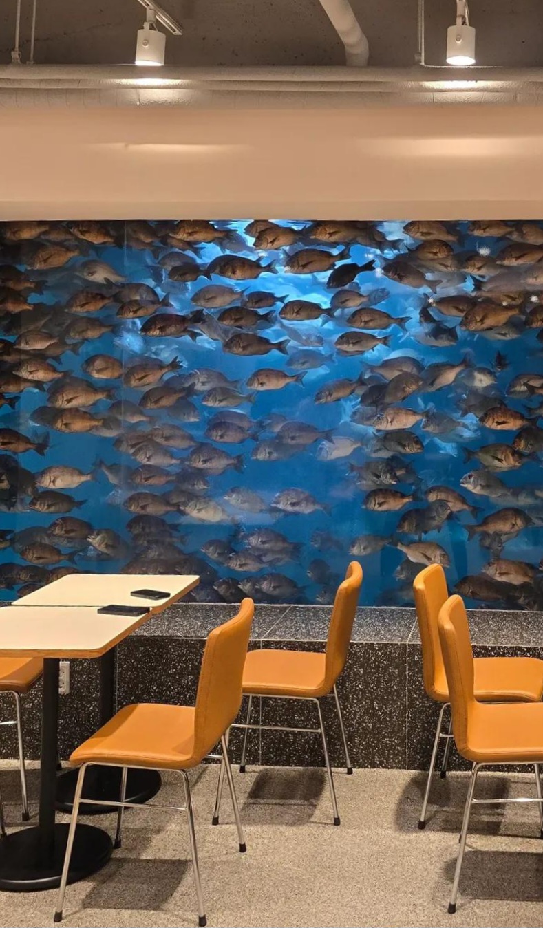 호불호-갈린다는-참돔뷰-카페ㄷㄷ-1-이미지