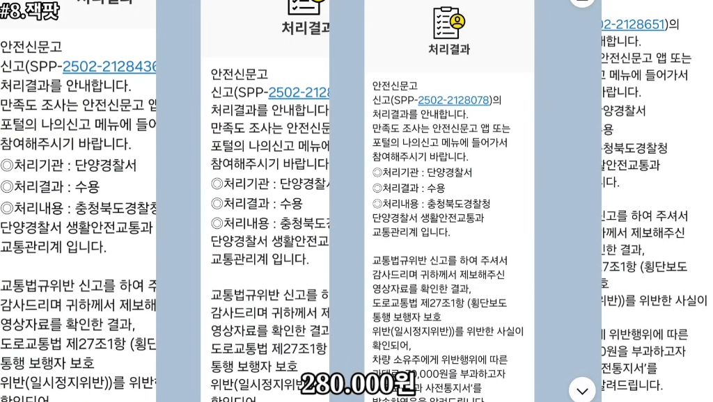 횡단보도-꼬라지-보고는-신고해버리는-일부-운전자들.gif-3-이미지