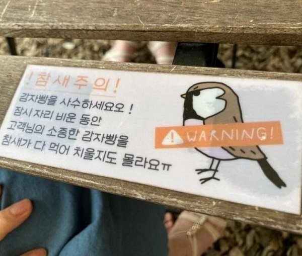 어느-감자빵-맛집에-붙은-경고문-0-이미지