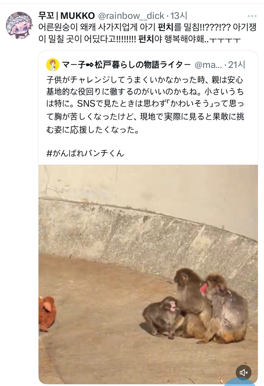 일본에-펀치라는-아기-원숭이인데-6-이미지