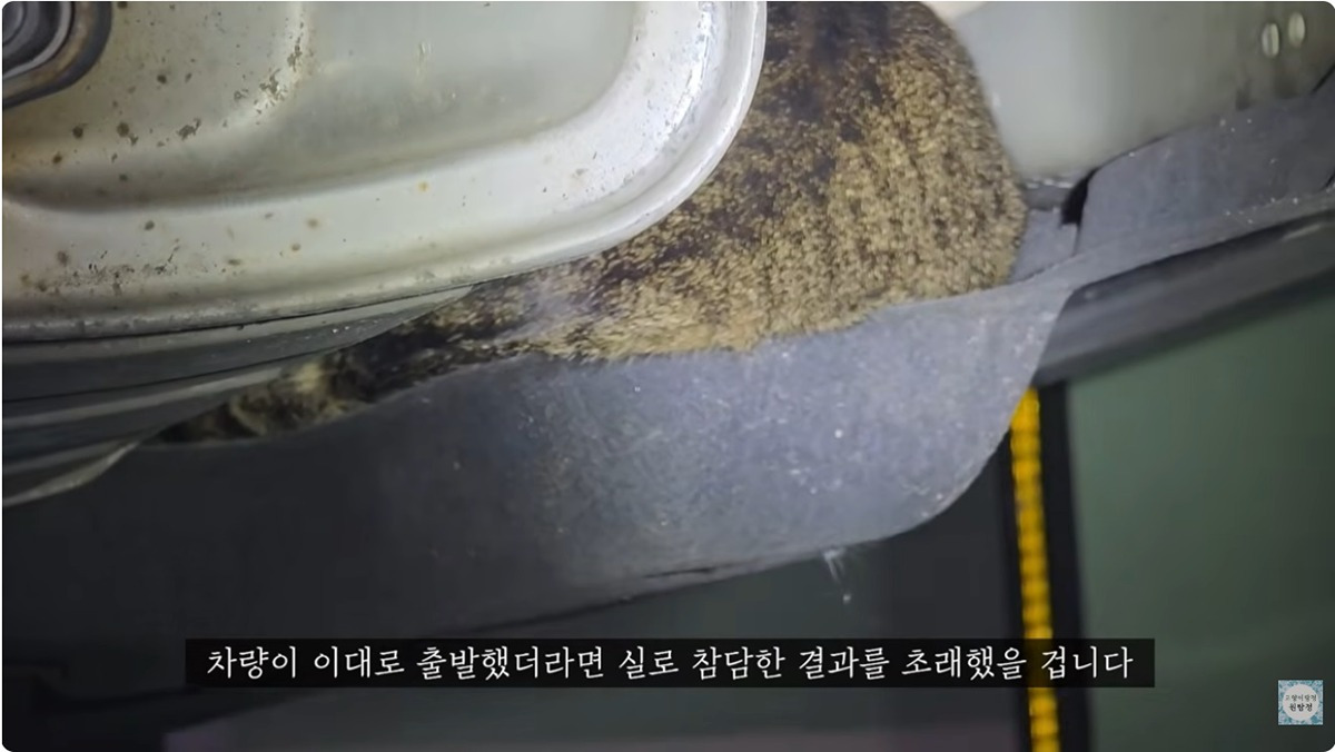 잃어버린-고양이를-찾는데-주위-사람들이-다-따뜻하다-5-이미지