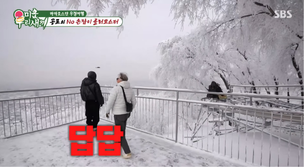 세상에서-가장-느린-롤러코스터-1-이미지