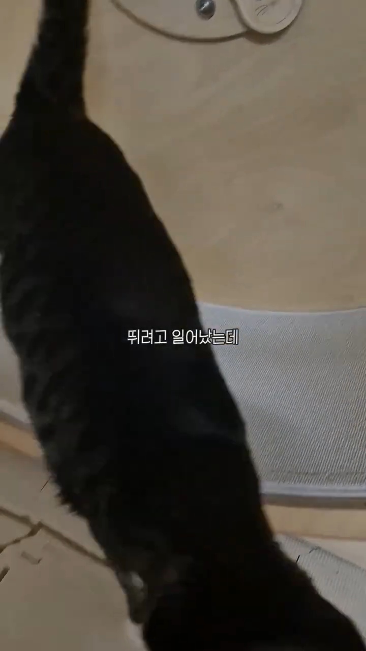 엽떡-때문에-삐낀-고양이🤣-11-이미지