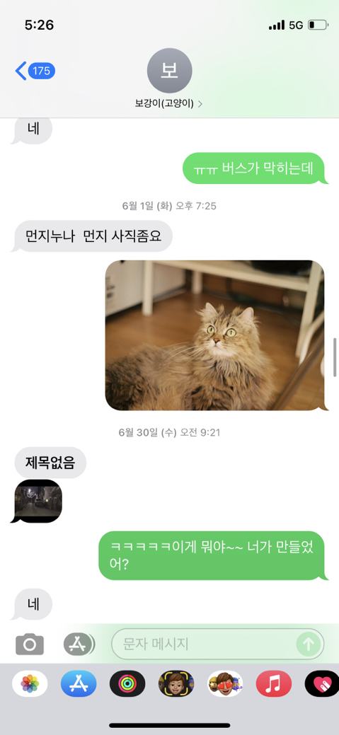 우리-집-고양이-보러-오는-동네-초딩-있거든-5-이미지