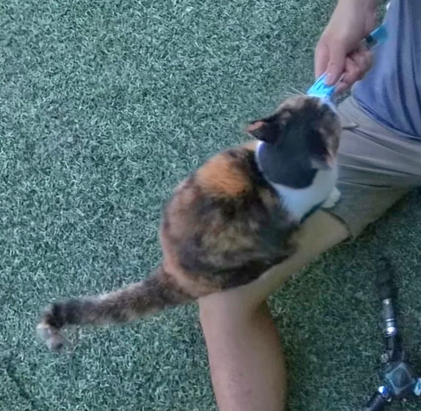 하하하-삼색이-모음-15-이미지