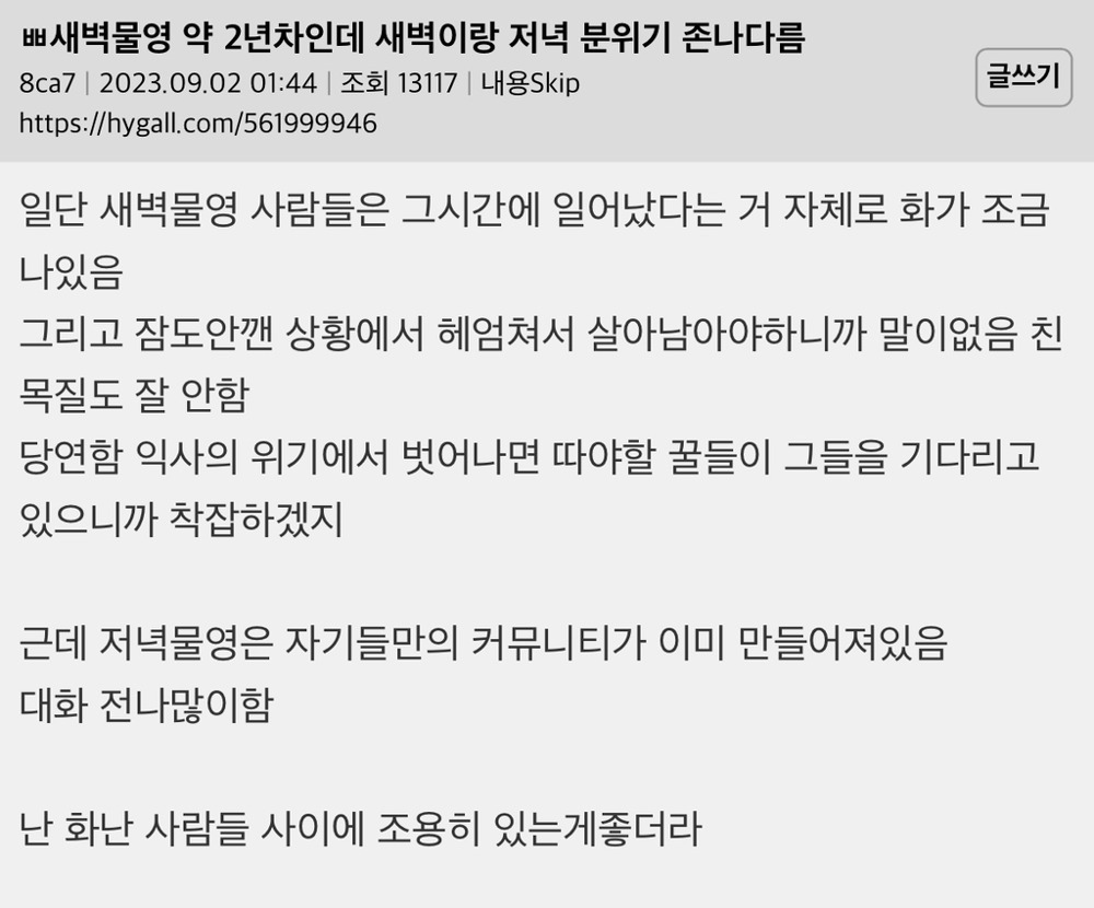 새벽수영-약-2년차인데-새벽이랑-저녁-분위기-존나다름.jpg-0-이미지