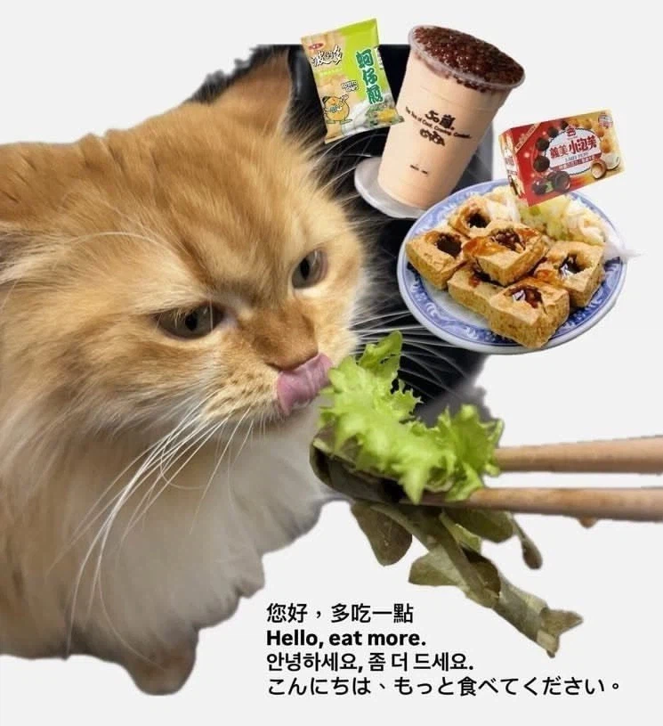 대만-여행-한다고-하면-댓글-달아주는-대만-사람들-2-이미지