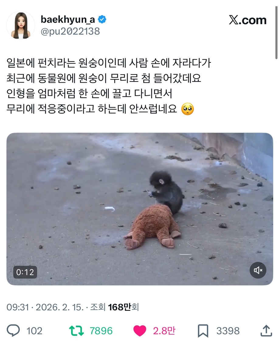 일본에-펀치라는-아기-원숭이인데-0-이미지