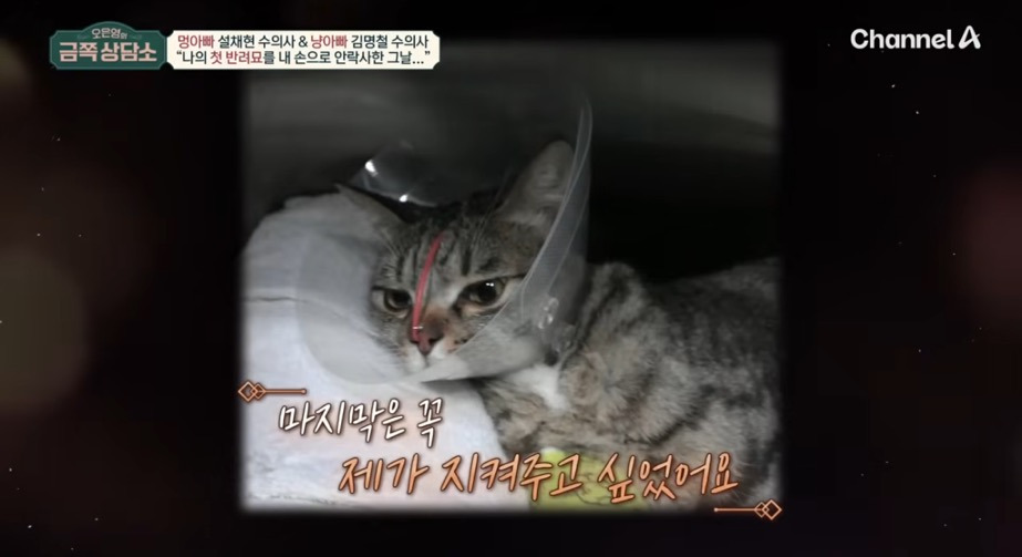 직무-스트레스가-최상에-속한다는-직업-30-이미지