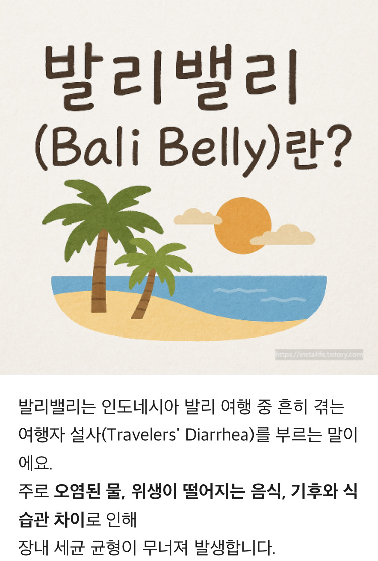 제주도랑-동남아-애초에-비교가-안된다고-생각하는-달글-5-이미지