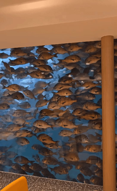 호불호-갈린다는-참돔뷰-카페ㄷㄷ-0-이미지