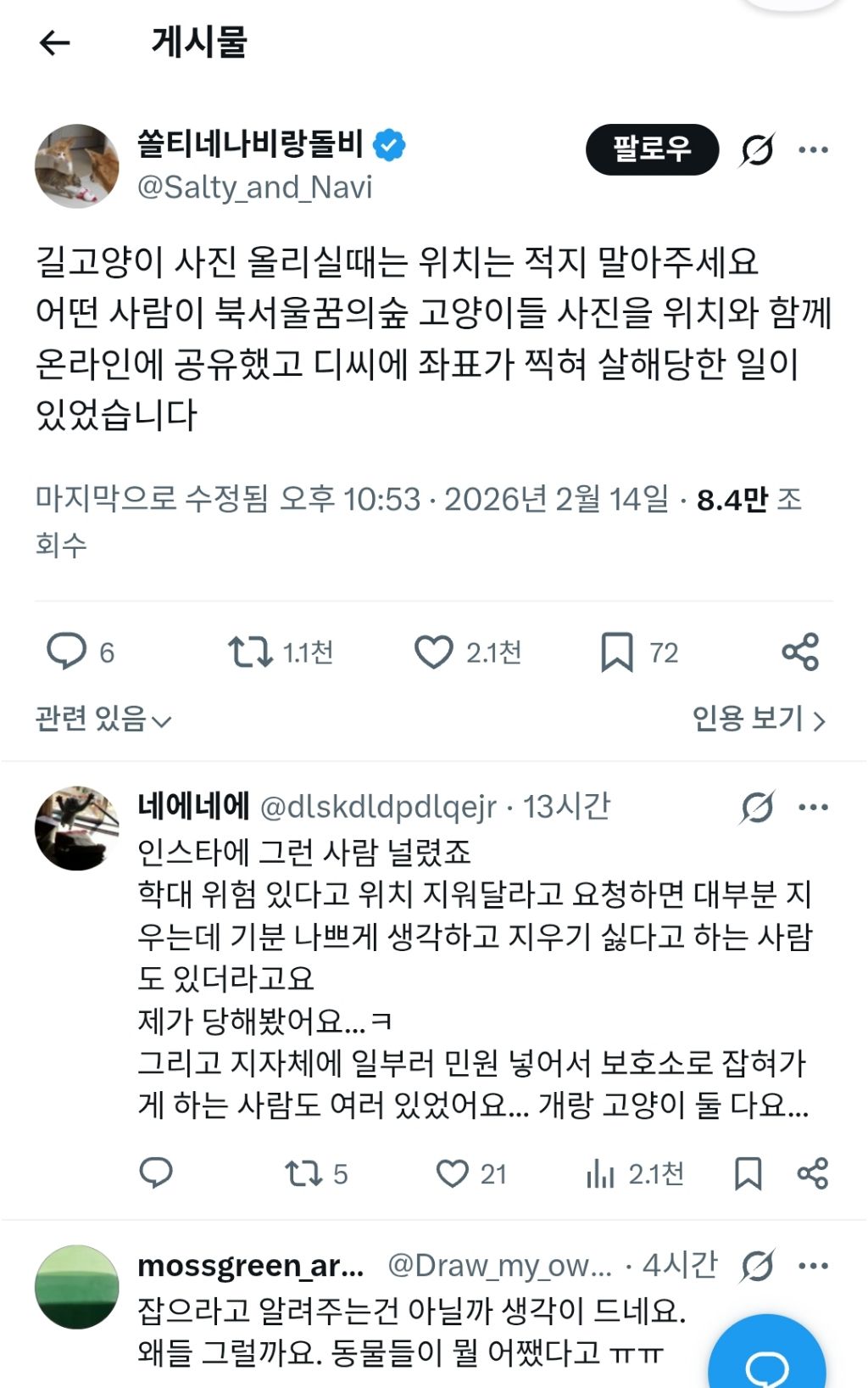 길고양이-사진-올릴-때-위치-노출-조심해야-되는-이유-0-이미지