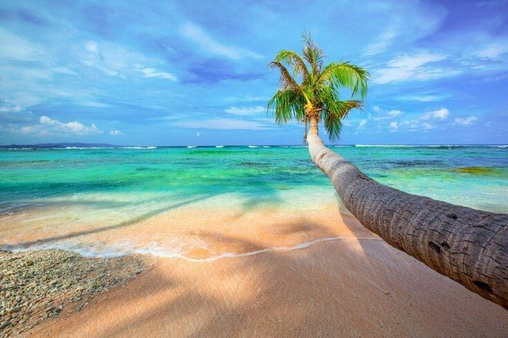 한국인에게-꾸준히-사랑받는-여행지-'괌'-7-이미지