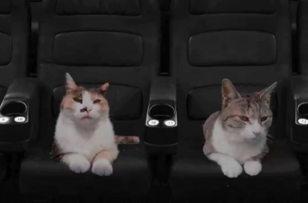 하하하-삼색이-모음-12-이미지