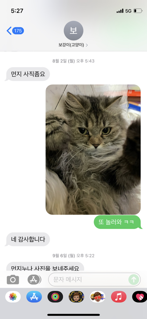 우리-집-고양이-보러-오는-동네-초딩-있거든-8-이미지