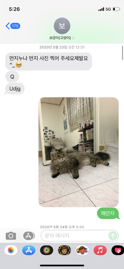 우리-집-고양이-보러-오는-동네-초딩-있거든-0-이미지