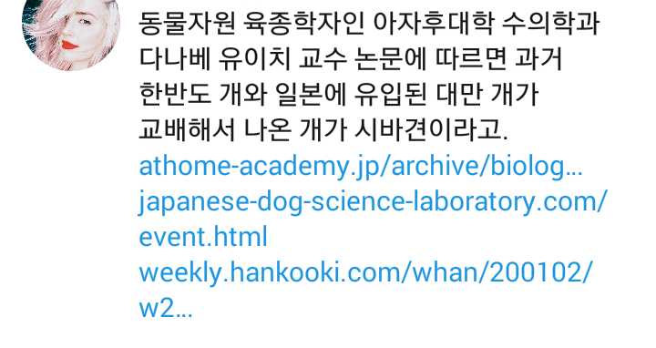 시바견이-진돗개와-많이-닮은-이유-0-이미지