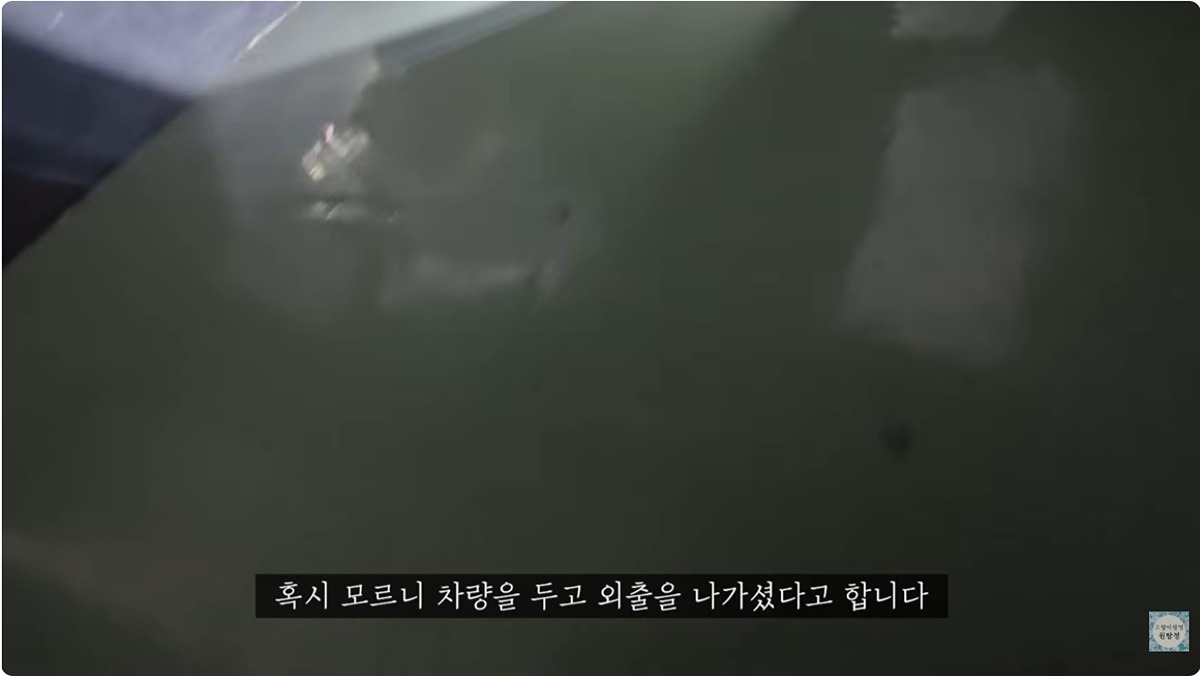 잃어버린-고양이를-찾는데-주위-사람들이-다-따뜻하다-3-이미지