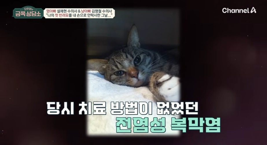 직무-스트레스가-최상에-속한다는-직업-27-이미지