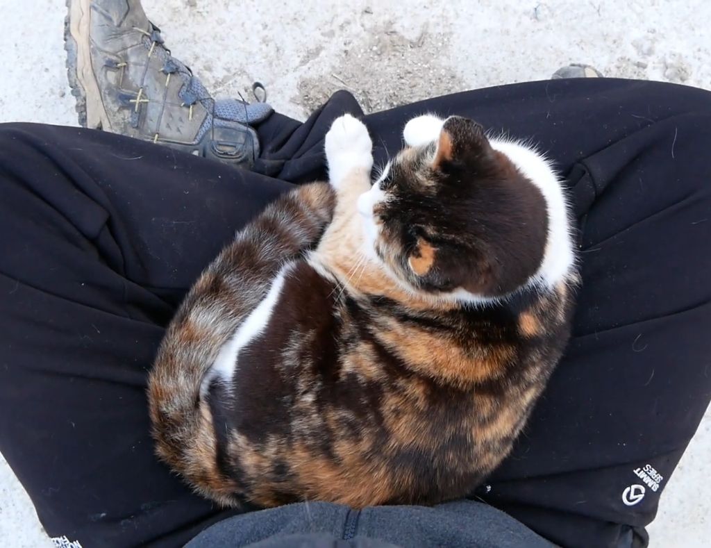 하하하-삼색이-모음-51-이미지