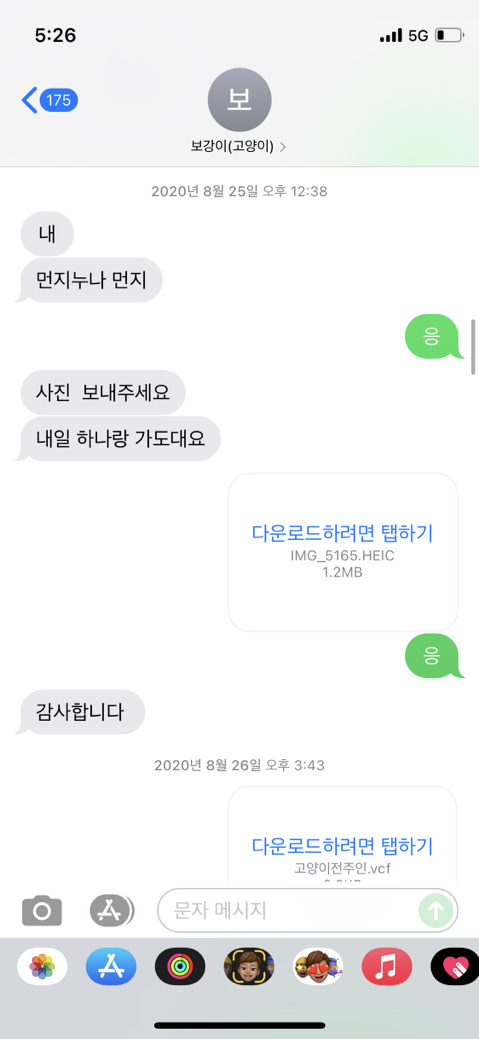우리-집-고양이-보러-오는-동네-초딩-있거든-2-이미지