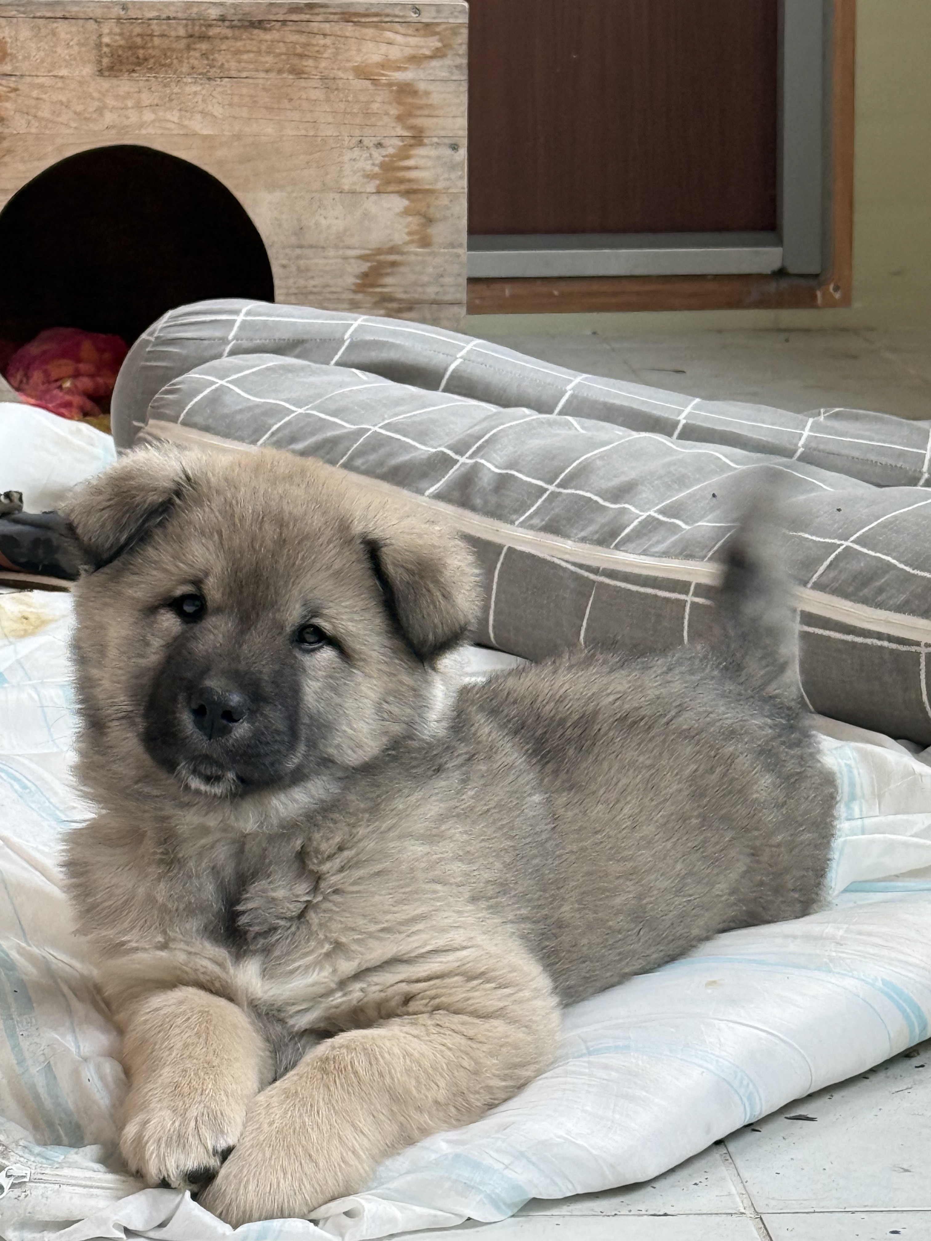 아빠가-친구네서-갑자기-델고옴;;-2-이미지