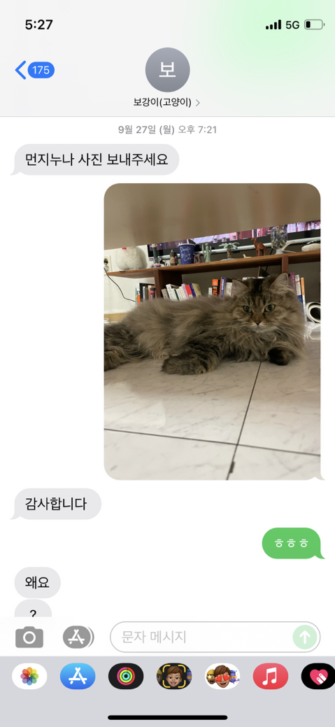 우리-집-고양이-보러-오는-동네-초딩-있거든-10-이미지