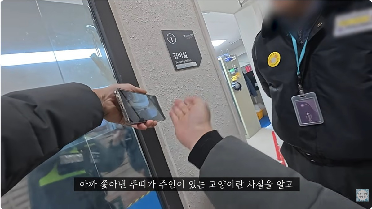 잃어버린-고양이를-찾는데-주위-사람들이-다-따뜻하다-9-이미지