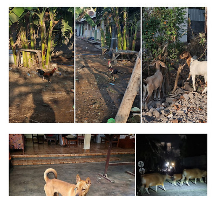 제주도랑-동남아-애초에-비교가-안된다고-생각하는-달글-1-이미지