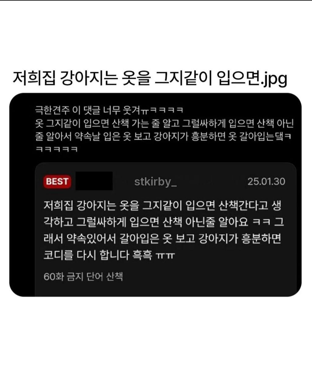 저희집-강아지는-옷을-그지같이-입으면.jpg-0-이미지