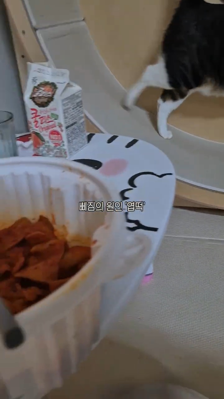 엽떡-때문에-삐낀-고양이🤣-9-이미지