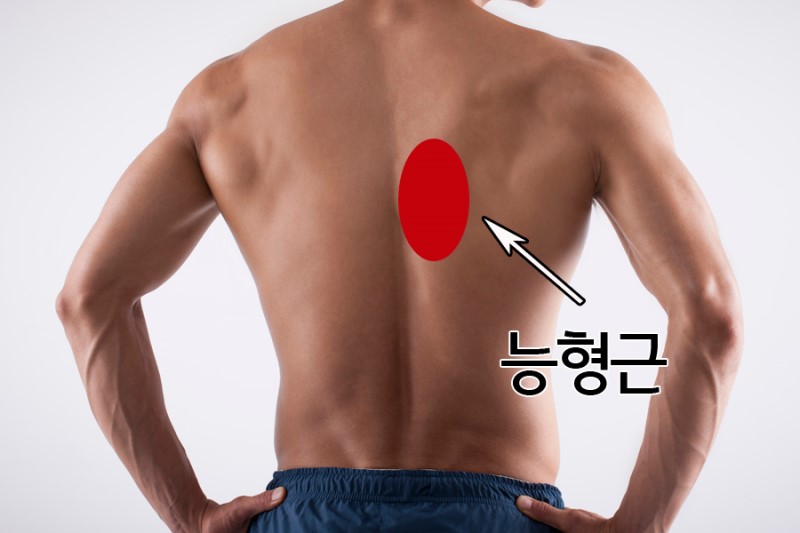 사람들이-잘-모르는-거북목,-목-디스크-증상-1-이미지